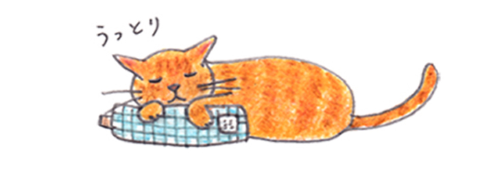 あごのせ枕にもなる猫おもちゃ