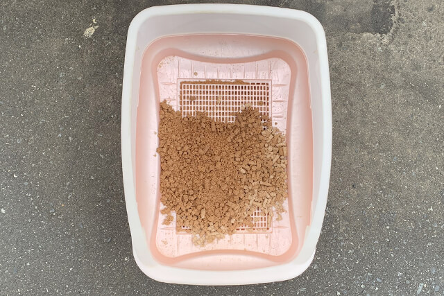 一ヶ月に必要な猫砂の量はどれくらい？ ｜ nekozuki（ねこずき）ネコ豆知識