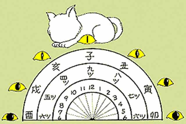 伊賀の忍者のネコ目時計