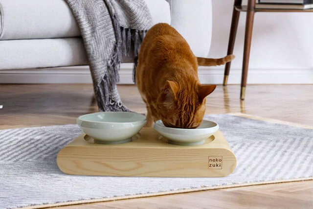 食器台で高さがあり食べやすそうな猫
