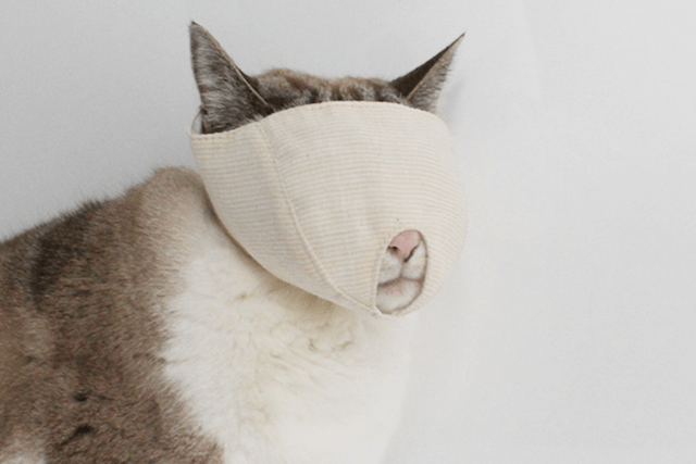 猫の爪切り専用マスク「もふもふマスク」