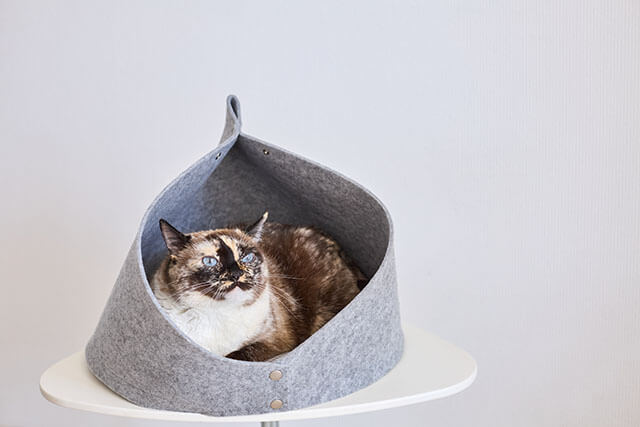 マット 猫 ベッド ぽかぽかマット POCKET winter 日本製 | nekozuki（ねこずき）猫用品の販売