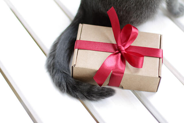 プレゼントの箱と猫のしっぽ