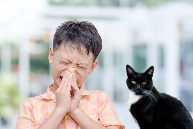 猫アレルギーの子ども
