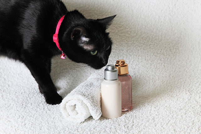 黒猫とアロマの小瓶