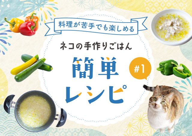 ペット栄養管理士が作る、夏野菜たっぷり猫の手作りごはん