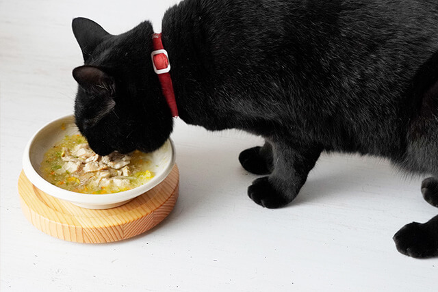 猫が手作りごはんを食べている様子