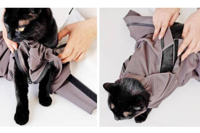 保定袋ねこずきのおくるみの着せ方