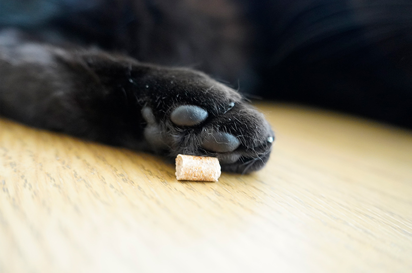 肉球の負担を考えた大きさの猫砂の粒