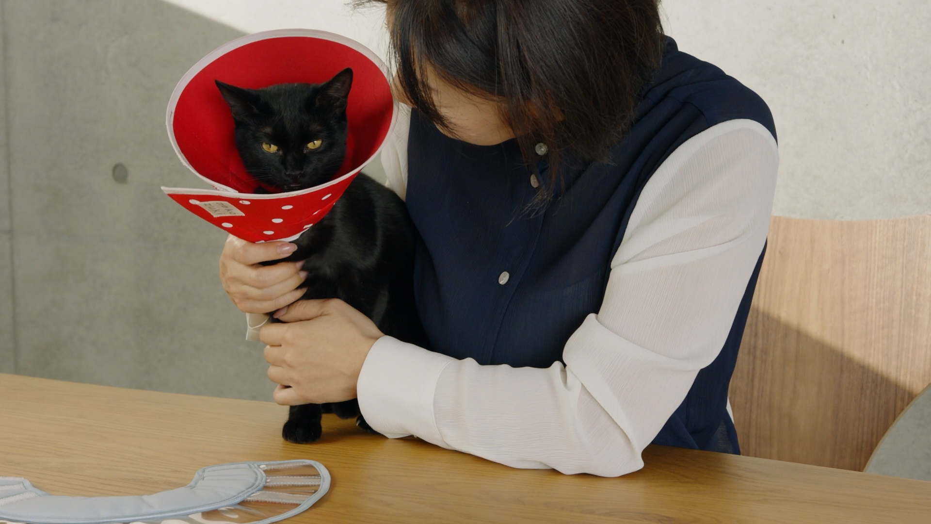 ネコ社員あんこちゃんと太野