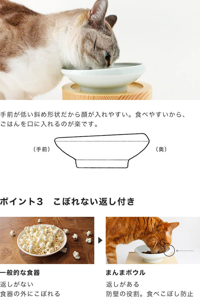 猫が食べやすい食器で食べ残し 食べこぼし防止 ご飯用ボウルm