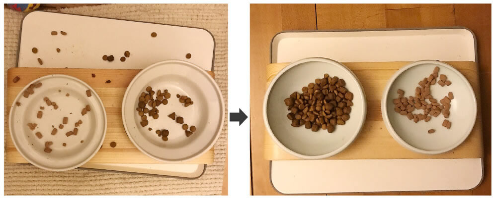 猫がこぼさない食器の実例