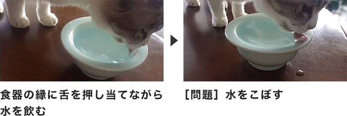 まんまボウル 水飲み用 Nekozuki ねこずき 猫用品の販売
