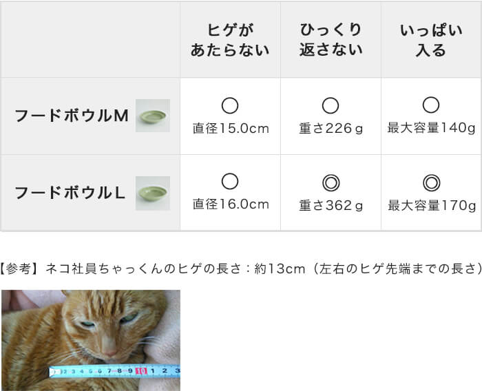 ヘルスウォーター フードボウル L  nekozuki（ねこずき）猫用品の販売