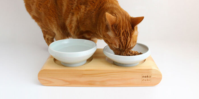 高齢猫も食べやすい食器