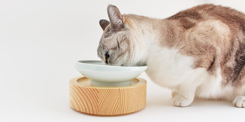 猫が食事しやすい台