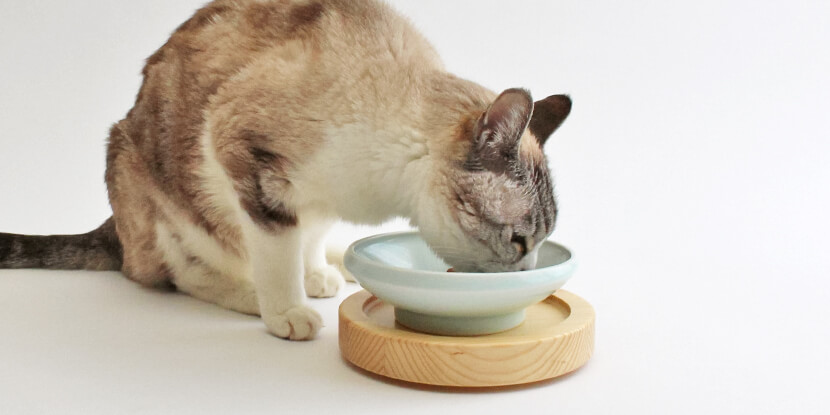 猫が食事しやすい台