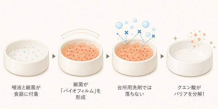 バイオフィルムと台所用洗剤の相性が悪い理由