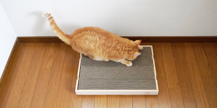 倒れやすい爪とぎ