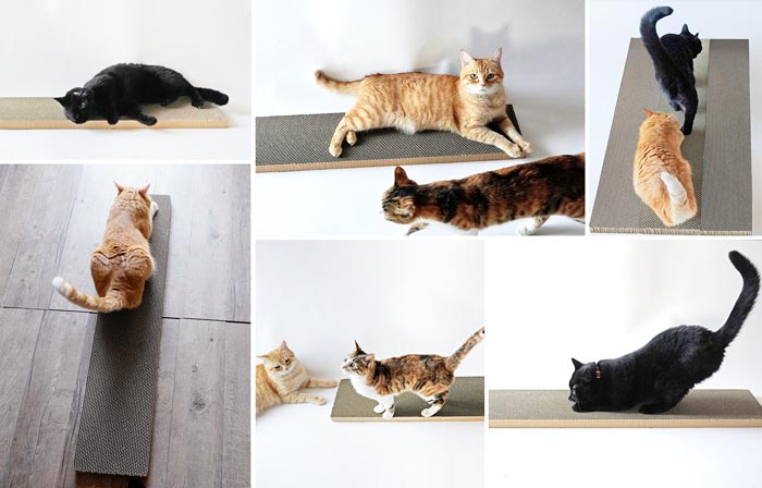 猫社員のつめとぎの様子