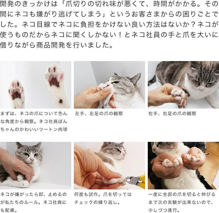 猫の爪切りが怖い初心者におすすめ。SUWADA製ニッパー
