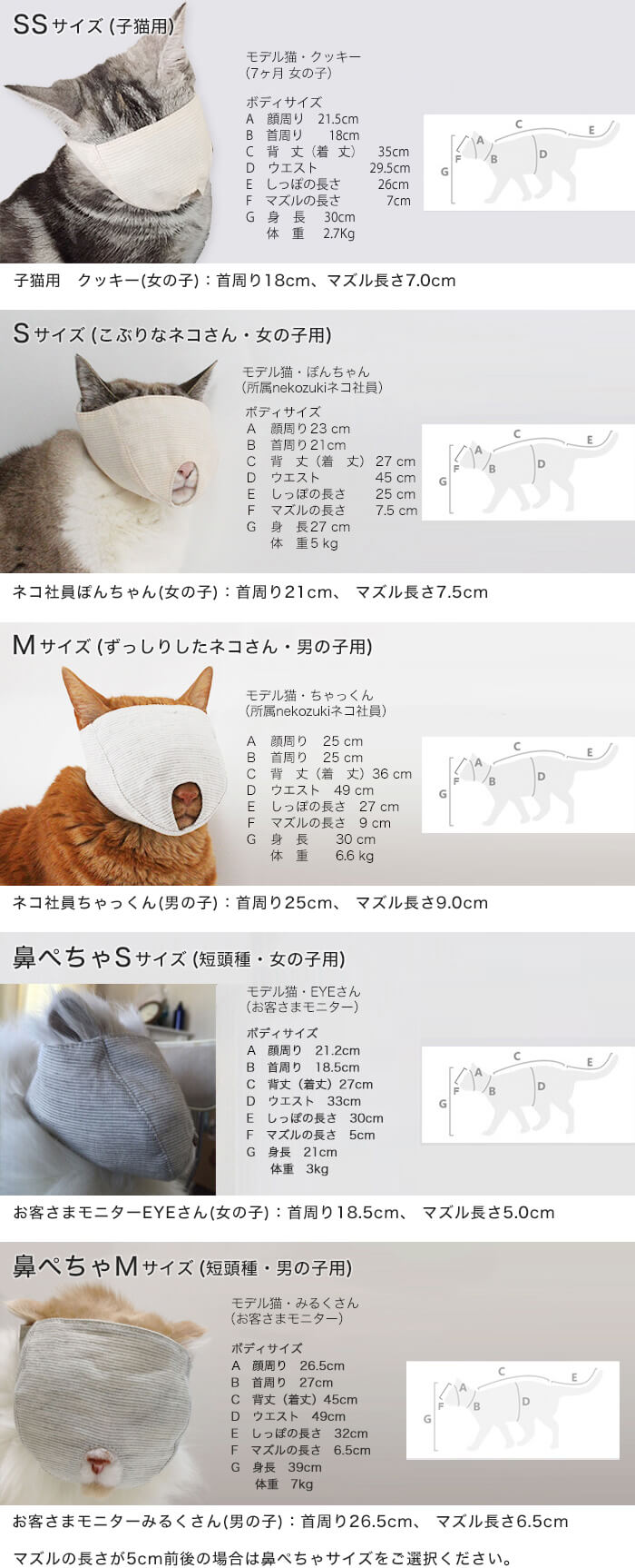 猫専用サイズ