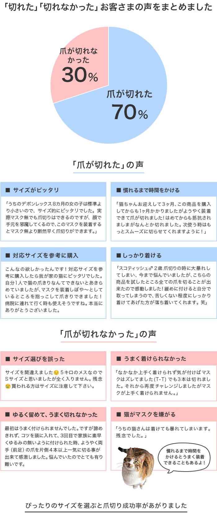 ���󥱡��ȷ�̤Ȥ����ͤ���