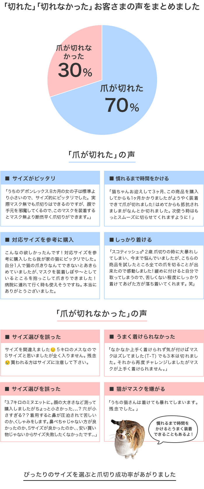 アンケート結果とお客様の声