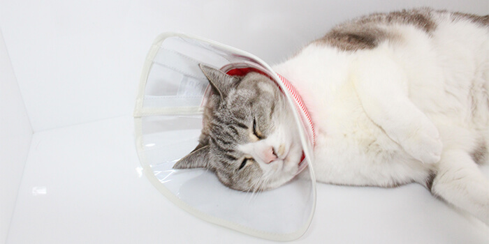 柔らかいから万が一どこかにぶつかっても「ガツン」という大きな音がしない