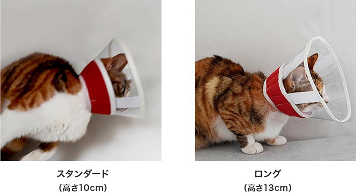 スタンダード（高さ10cm）とロング（高さ13cm））を着用した比較画像