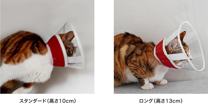 スタンダード（高さ10cm）とロング（高さ13cm））を着用した比較画像