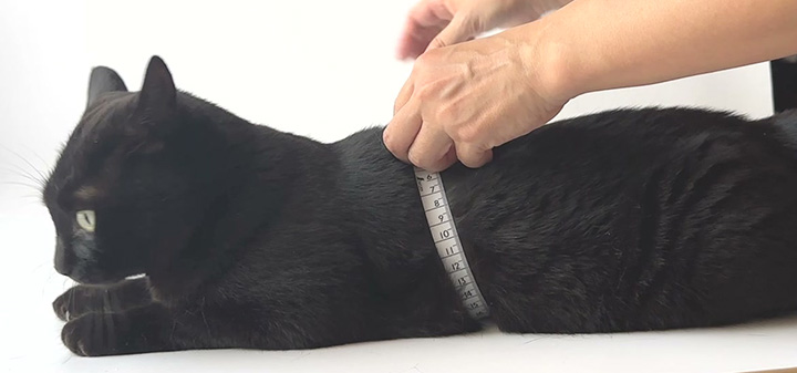 座った状態で胴回りを測ってください