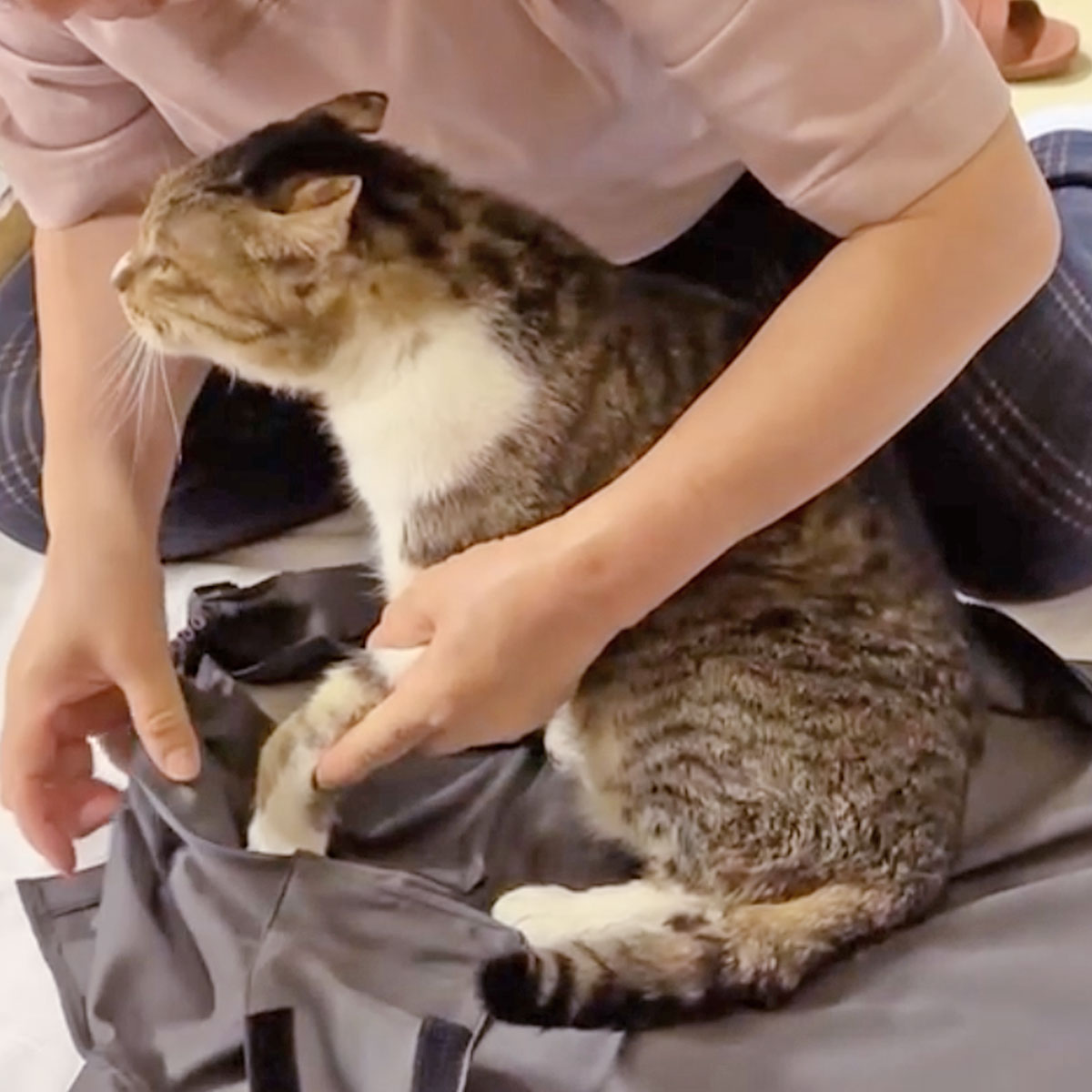 M���������ѤΥ�ǥ�ǭ����