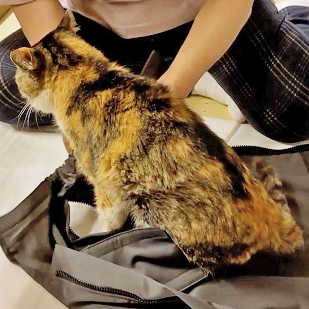 S���������ѤΥ�ǥ�ǭ����