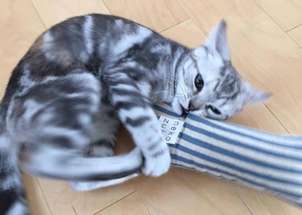 猫 おもちゃ 一人遊び ねこずき けりけり 日本製 またたび不使用
