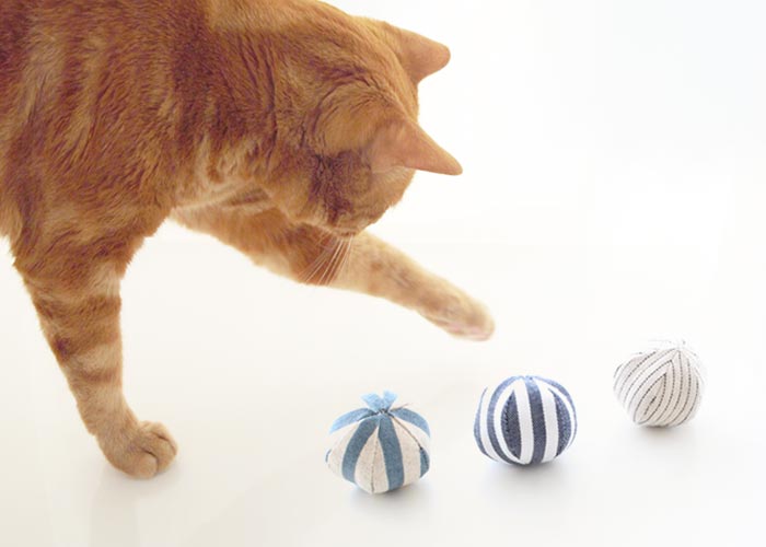 音が鳴る布製ボールの猫おもちゃ