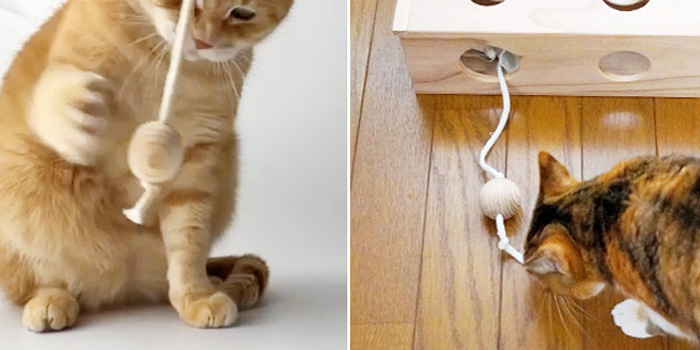猫のおもちゃ『ねこずきのたまご』で運動不足解消