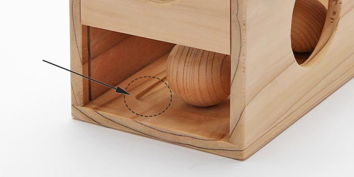 猫3匹が爪を研ぐ様子