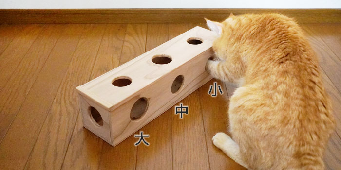 猫おもちゃ ちょいちょいBOX ※予約：2026年1月中旬発送 | nekozuki