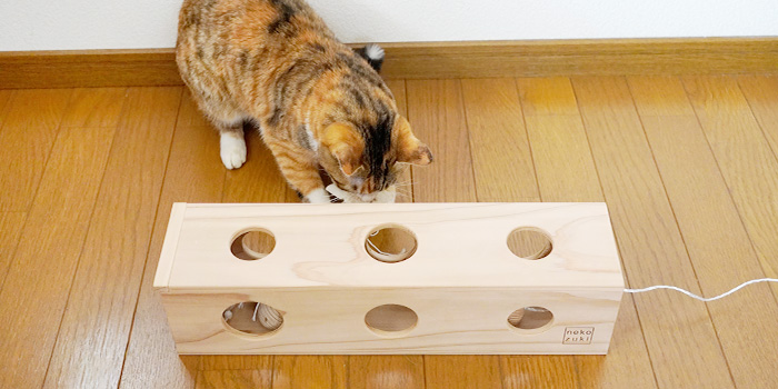 飼い主と遊べる猫おもちゃ