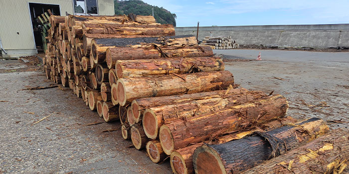 爪とぎカスが散らばらない