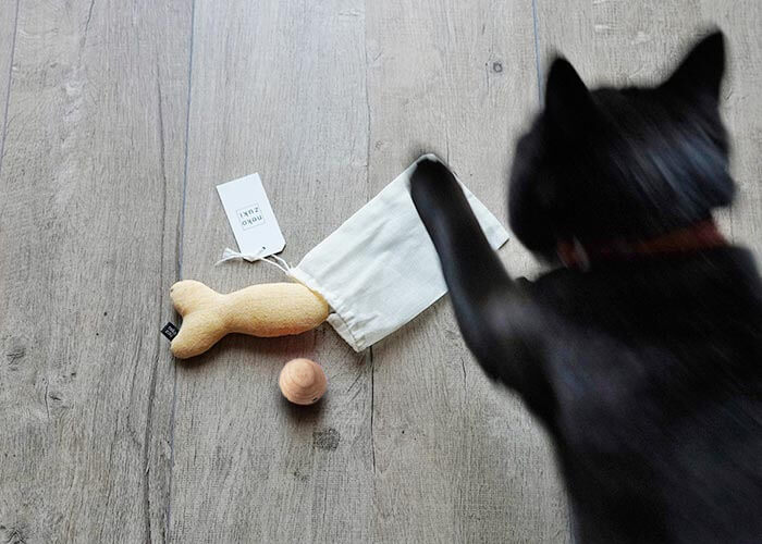 猫のおもちゃ福袋