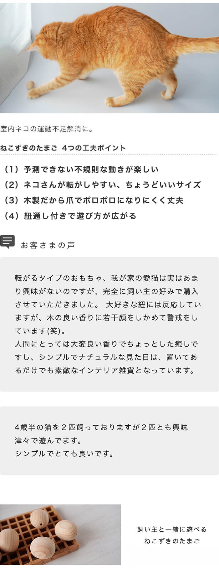 人気の猫おもちゃ2点セット。ボール＋さかな・ねずみから選べる！日本