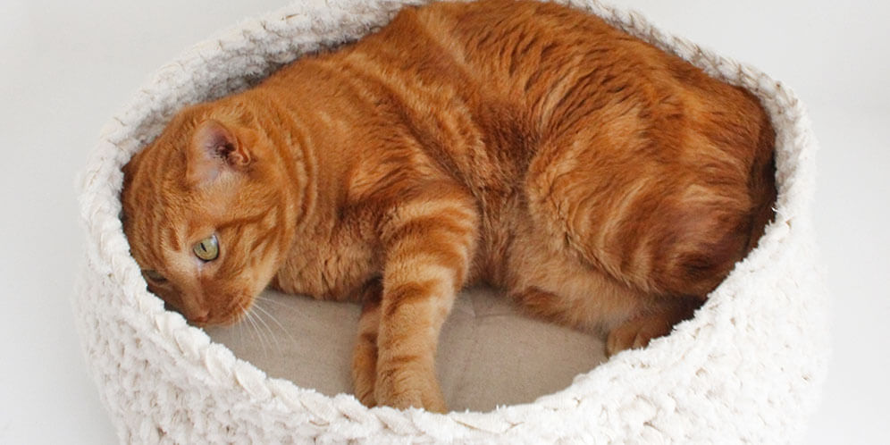 フレシキブルな猫ベッド・マット