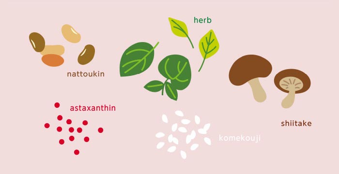 無農薬飼育