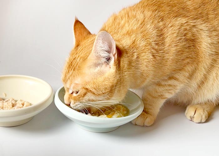 無添加の猫用ごはん 鶏肉