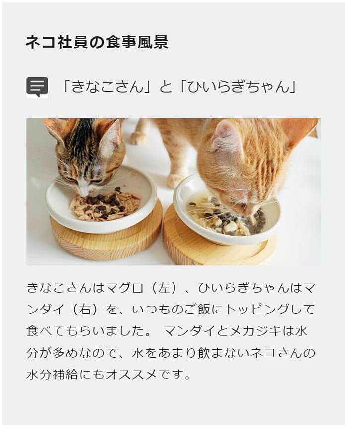 猫 缶詰 ねこずきのごはん 80g キャットフード ウェットフード 無添加