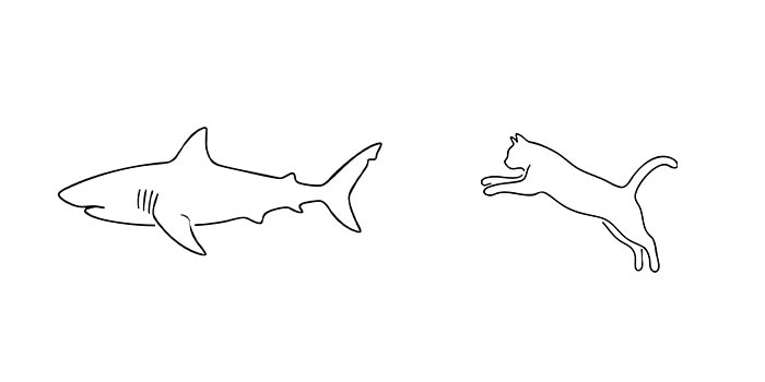 キャットフード アオザメ