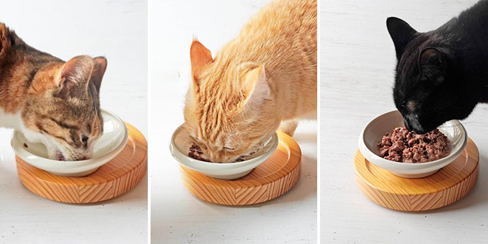 ネコ社員3匹の食事風景