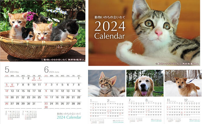 保護猫・保護犬の2024年カレンダー